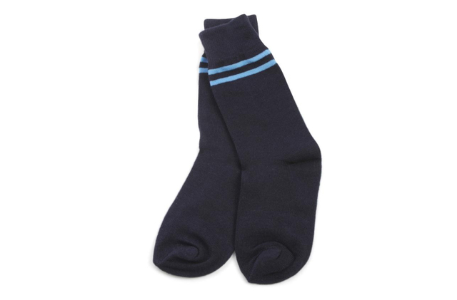 School Socks